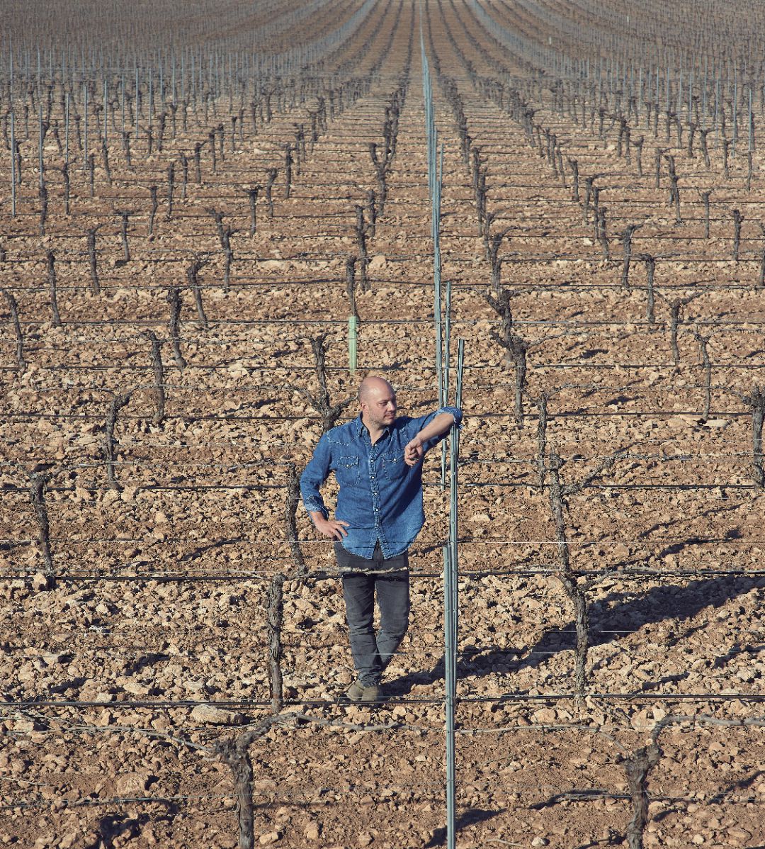 Elías López, el enólogo tomellosero que desarrolla su trabajo entre La Mancha y La Patagonía Elías López, el enólogo tomellosero que desarrolla su trabajo entre La Mancha y La Patagonía