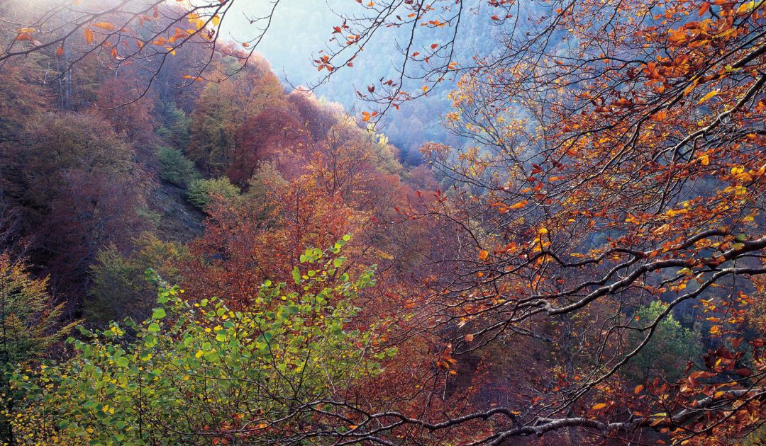 Otoño en Cantabria. Otoño en Cantabria.