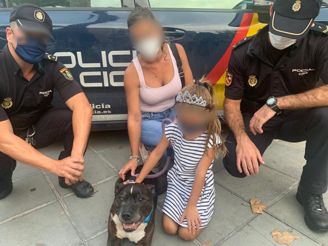 El perro que fue atropellado junto a sus dueños y dos agentes El perro que fue atropellado junto a sus dueños y dos agentes