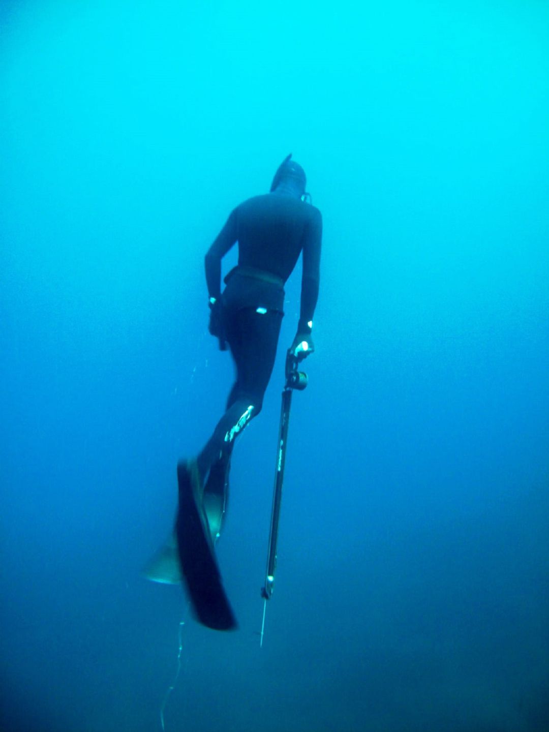 Un pescador submari Un pescador submari