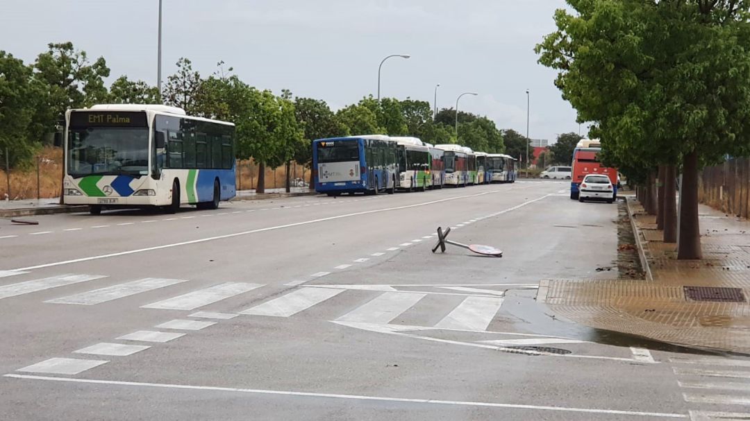 Autobuses aparcados en Son Güells. Autobuses aparcados en Son Güells.