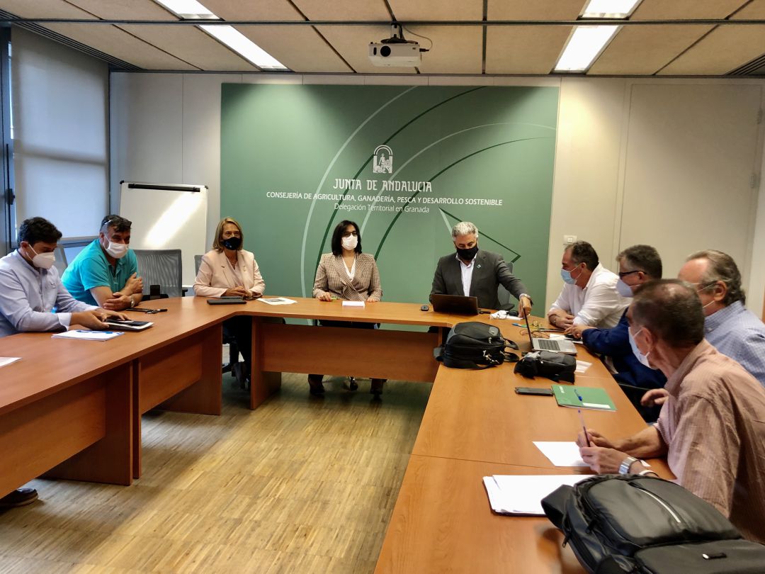 El director general de Planificación y Recursos Hídricos de la Junta de Andalucía, Fernando Delgado y técnicos y directivos del Gobierno regional se reúne con la alcaldesa de Motril y comunidad de regantes El director general de Planificación y Recursos Hídricos de la Junta de Andalucía, Fernando Delgado y técnicos y directivos del Gobierno regional se reúne con la alcaldesa de Motril y comunidad de regantes