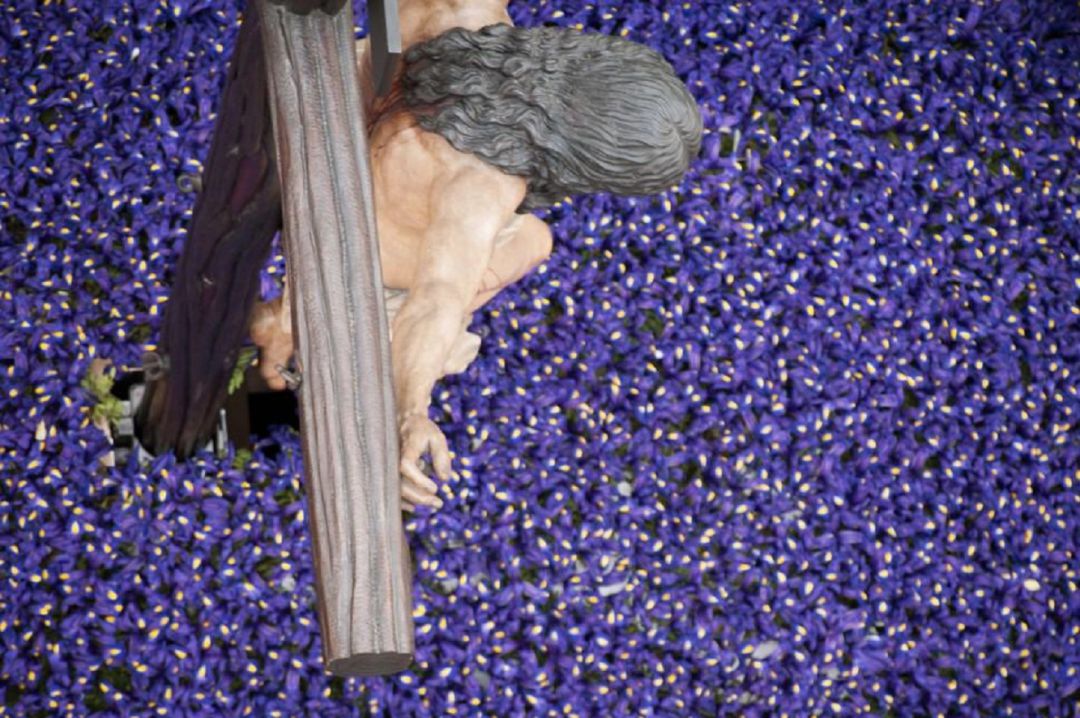 Impresionante imagen del Cristo de la Buena Muerte de Los Estudiantes sobre un monte de lirios morados Impresionante imagen del Cristo de la Buena Muerte de Los Estudiantes sobre un monte de lirios morados