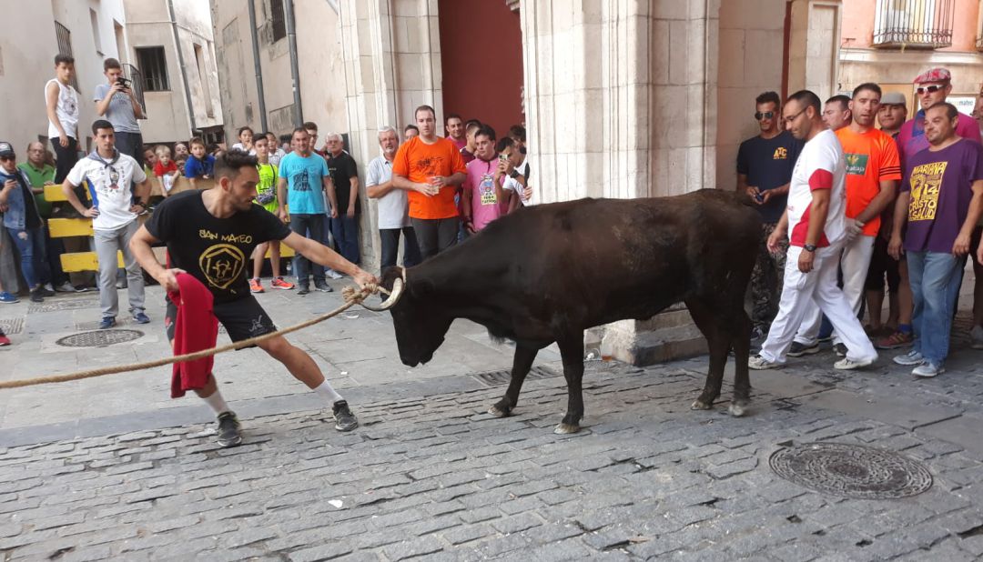 Suelta de vaquillas enmaromadas durante las fiestas de San Mateo de Cuenca en la plaza Mayor de la ciudad en una foto de archivo. Suelta de vaquillas enmaromadas durante las fiestas de San Mateo de Cuenca en la plaza Mayor de la ciudad en una foto de archivo.