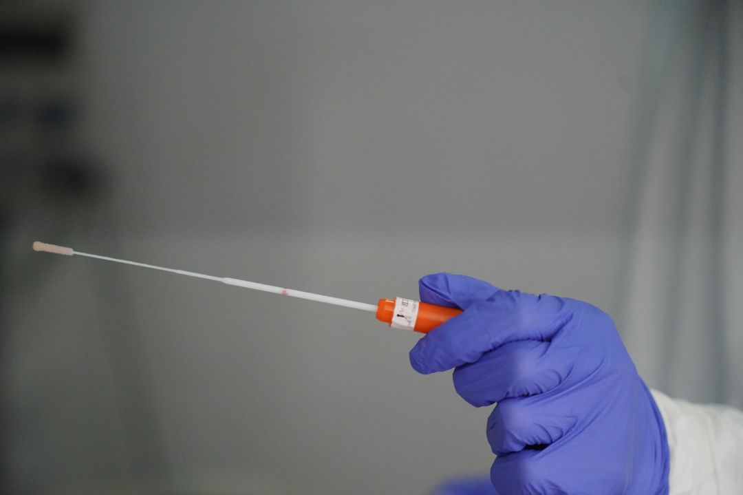 Barillas utilizadas por trabajadores sanitarios para realizar tests de Covid-19 Barillas utilizadas por trabajadores sanitarios para realizar tests de Covid-19