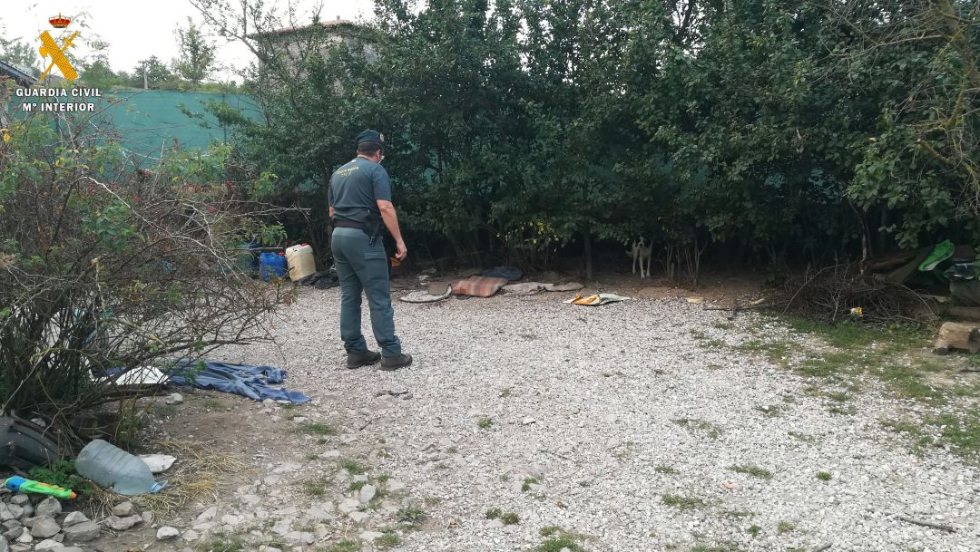 La Guardia Civil investiga a una persona por un supuesto delito de abandono animal La Guardia Civil investiga a una persona por un supuesto delito de abandono animal