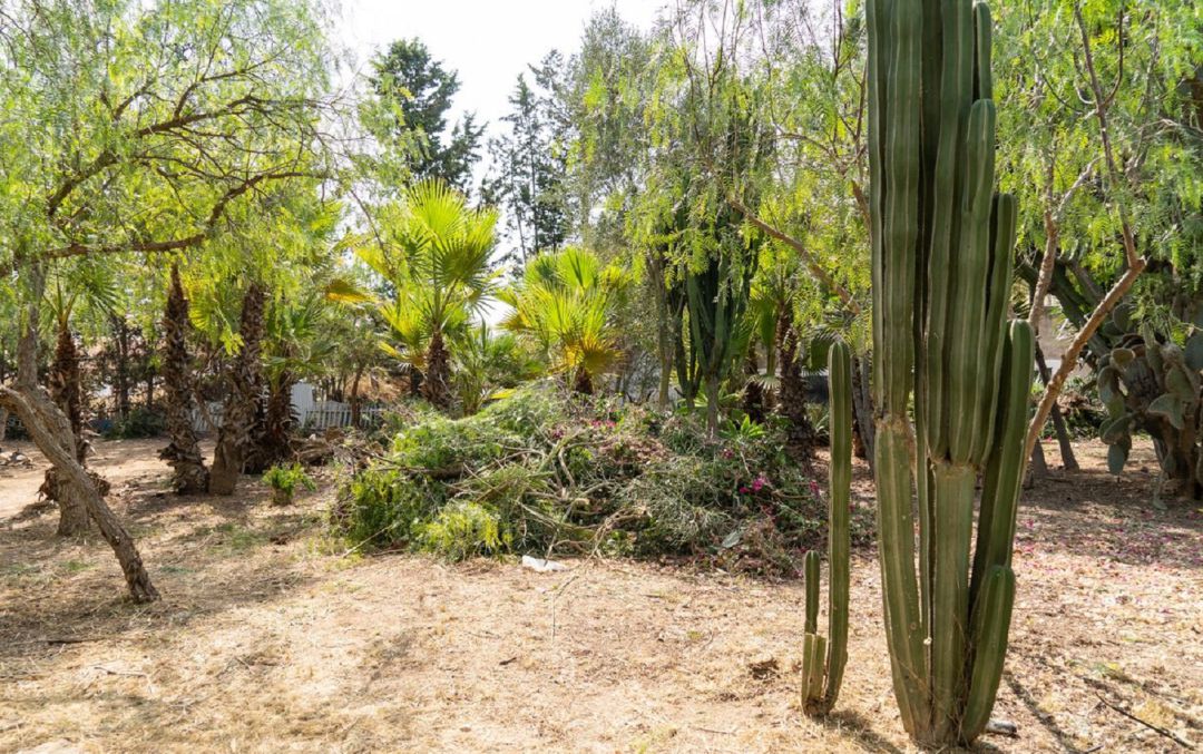 Huerto de Cándido en la diputación de La Palma. Huerto de Cándido en la diputación de La Palma.