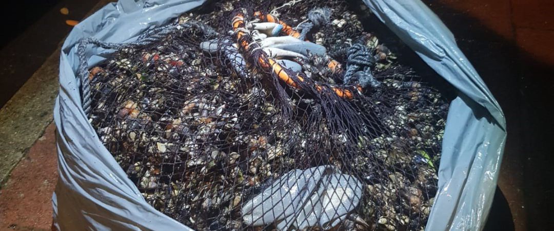 Intervenidos 27,6 kilogramos de percebe extraídos de forma ilegal en A Coruña Intervenidos 27,6 kilogramos de percebe extraídos de forma ilegal en A Coruña