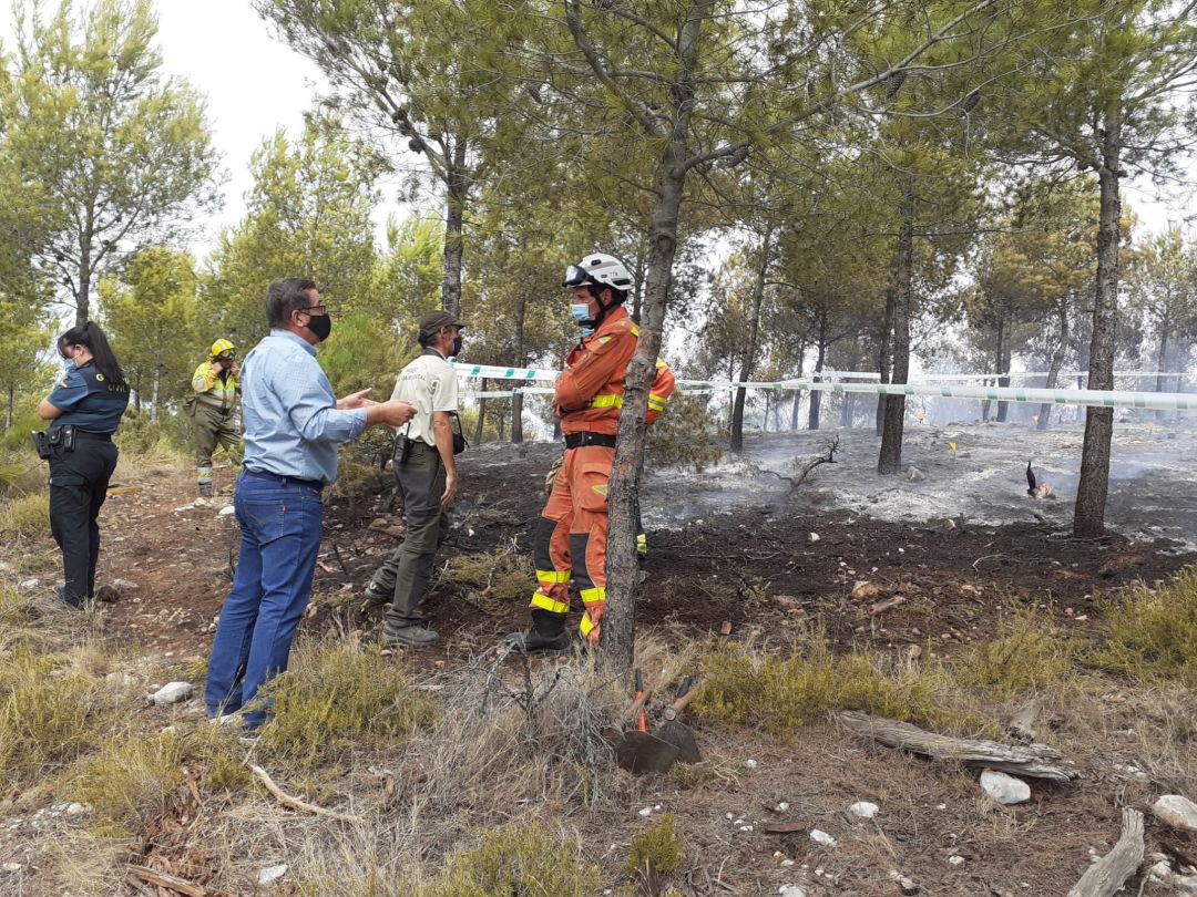 Foto a la zona cremada en l'incendi forestal Foto a la zona cremada en l'incendi forestal