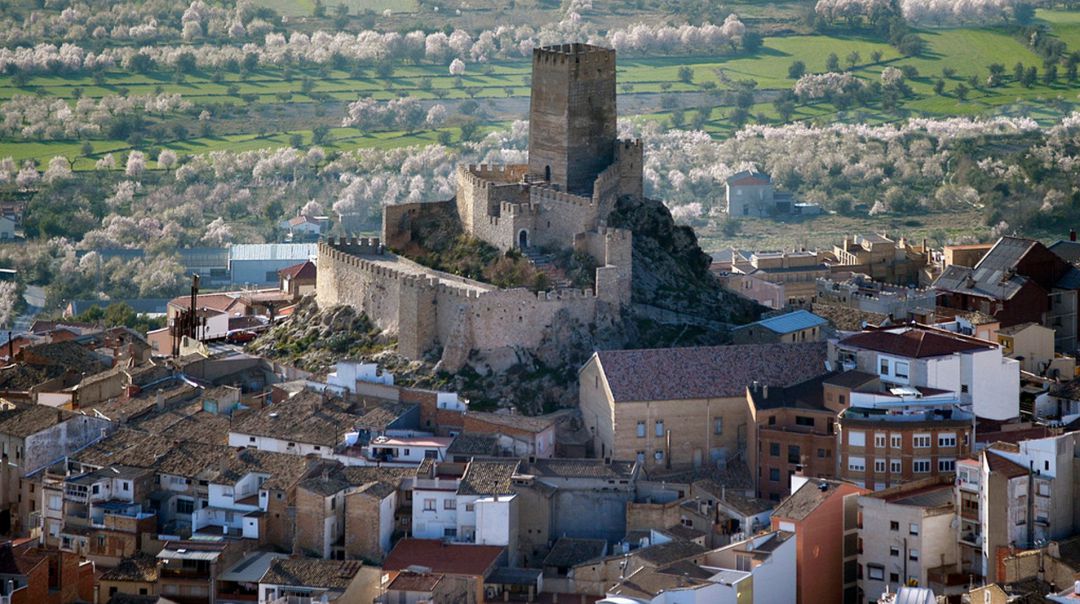 Banyeres registra un fallecimiento por coronavirus y tres nuevos casos en los últimos tres días, según la actualización de datos ofrecida por Sanidad. Banyeres registra un fallecimiento por coronavirus y tres nuevos casos en los últimos tres días, según la actualización de datos ofrecida por Sanidad.