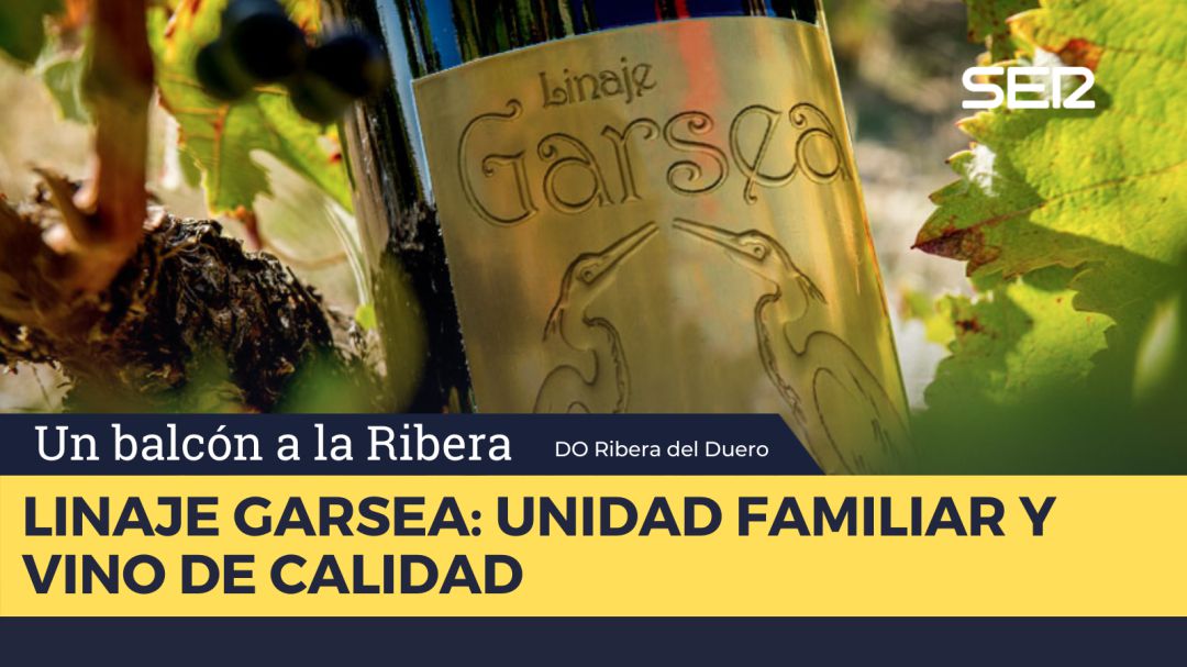 Bodegas Linaje Garsea Bodegas Linaje Garsea