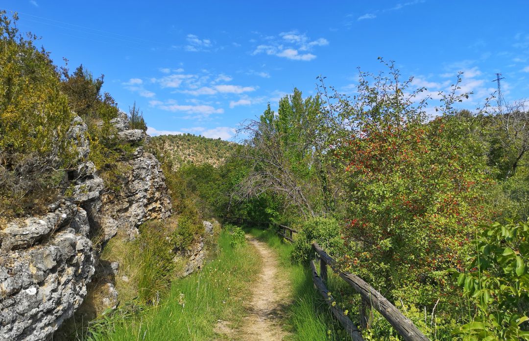 La ruta de la marcha Blume sube a Collado Bajo en Huerta del Marquesado (Cuenca). La ruta de la marcha Blume sube a Collado Bajo en Huerta del Marquesado (Cuenca).