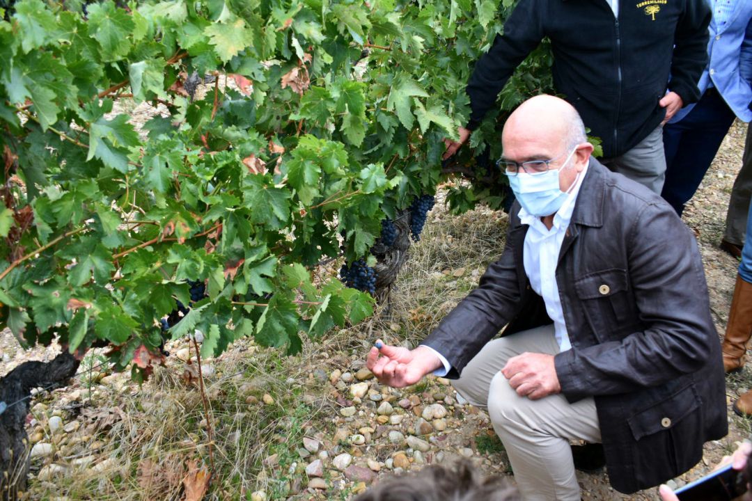 Consejero de Agricultura, Jesús Julio Carnero Consejero de Agricultura, Jesús Julio Carnero