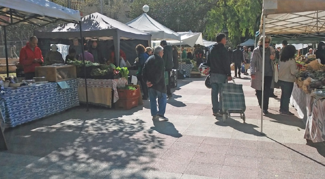 Los pagesos del Mercat Ecológic de Palma celebran su décimo aniversario. Los pagesos del Mercat Ecológic de Palma celebran su décimo aniversario.