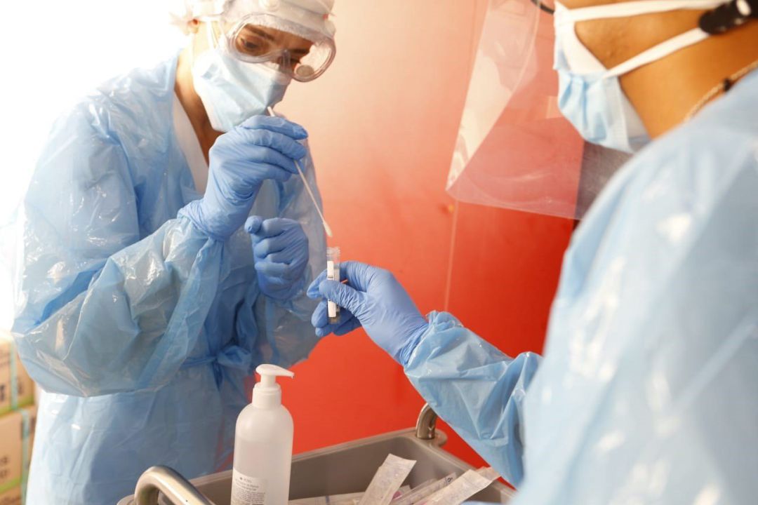 Realización y análisis de una prueba PCR. Realización y análisis de una prueba PCR.