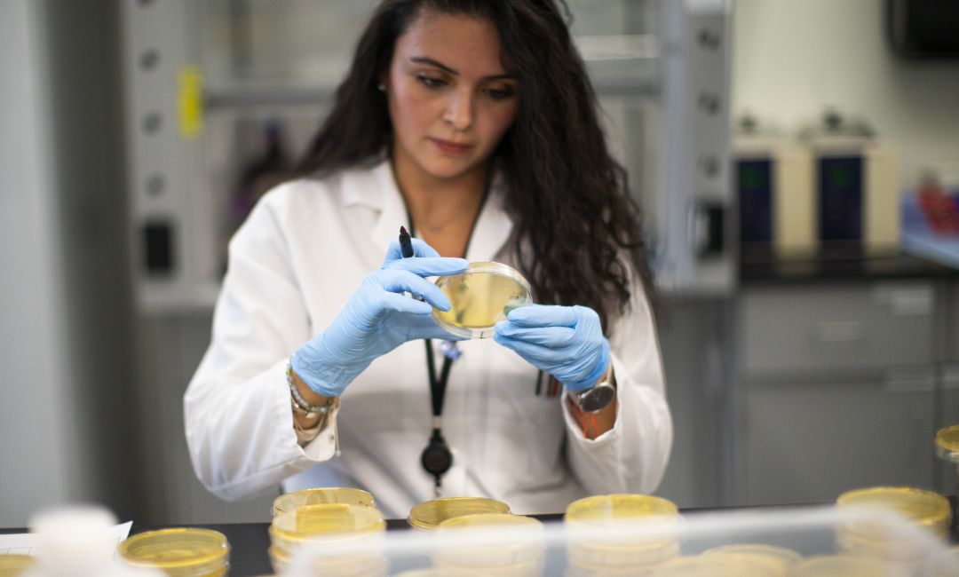 Una científica alerta de que la próxima pandemia está por llegar. Una científica alerta de que la próxima pandemia está por llegar.