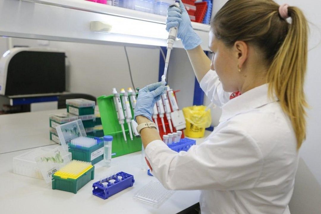 Prueba de laboratorio para el diagnóstico de la enfermedad del coronavirus Prueba de laboratorio para el diagnóstico de la enfermedad del coronavirus