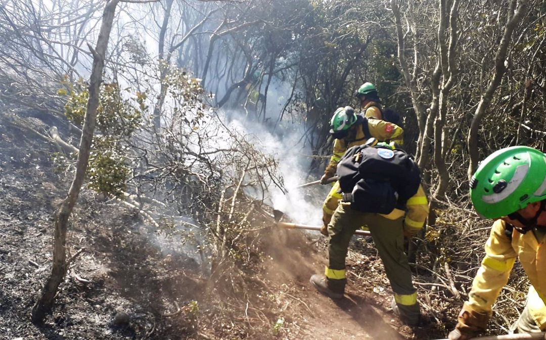 Efectivos luchan contra el fuego. Efectivos luchan contra el fuego.