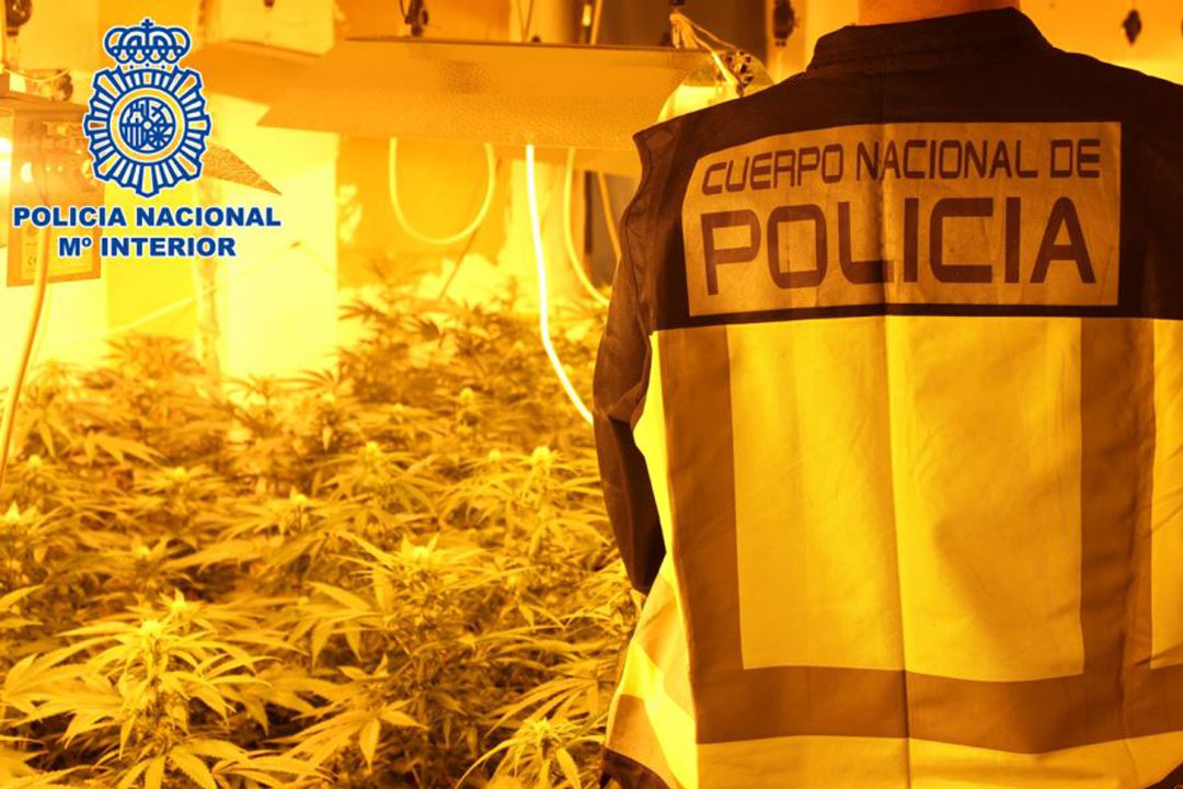 Desmantelamiento de una plantación ilegal de droga en una vivienda de Granada por la Policía Nacional Desmantelamiento de una plantación ilegal de droga en una vivienda de Granada por la Policía Nacional