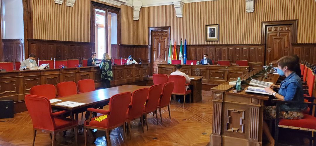 Pleno de la Diputación Provincial de Jaén. Pleno de la Diputación Provincial de Jaén.