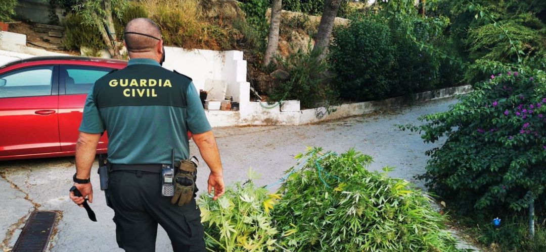 Agente de la Guardia Civil que ha participado en el registro de las viviendas. Agente de la Guardia Civil que ha participado en el registro de las viviendas.