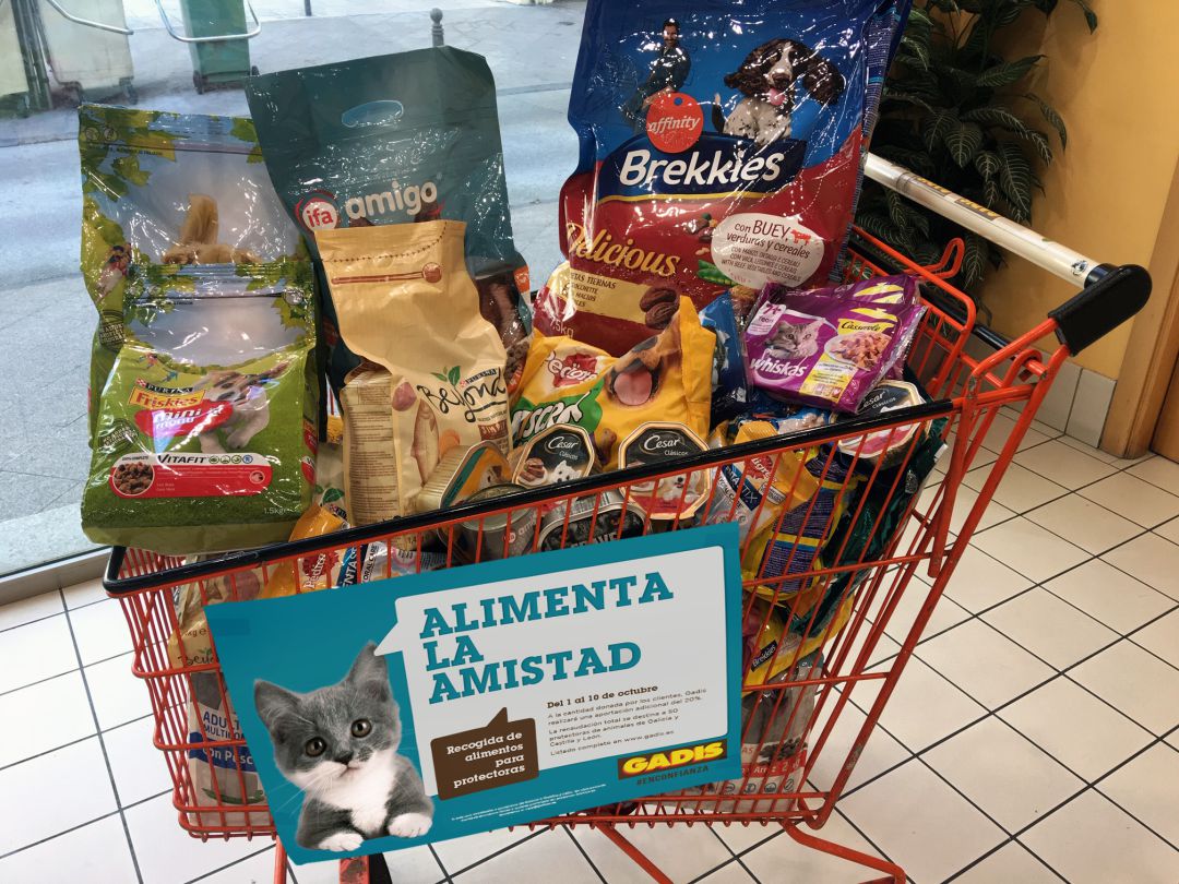 Carro con recogida de alimentos de la edición anterior Carro con recogida de alimentos de la edición anterior