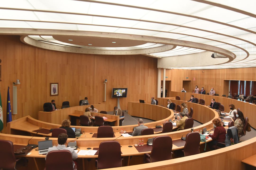Pleno de septiembre de 2020 (semipresencial) de la Diputación Provincial de Granada Pleno de septiembre de 2020 (semipresencial) de la Diputación Provincial de Granada