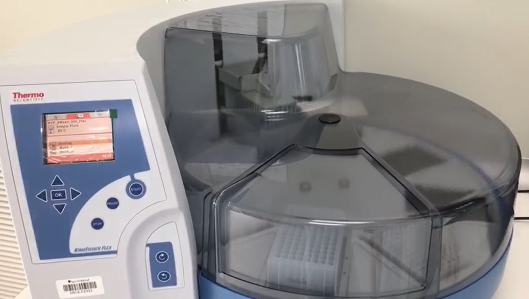 Máquina PCR Máquina PCR