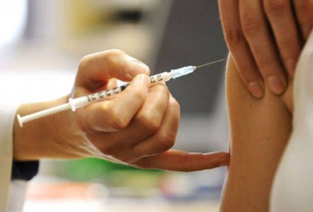 En la provincia de Castellón Conselleria de Sanitat distribuirá casi 139.500 dosis de vacuna antigripal En la provincia de Castellón Conselleria de Sanitat distribuirá casi 139.500 dosis de vacuna antigripal
