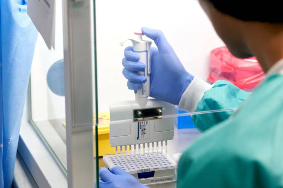 'RealTime Laboratories' prepara muestras para curar la COVID-19. 'RealTime Laboratories' prepara muestras para curar la COVID-19.