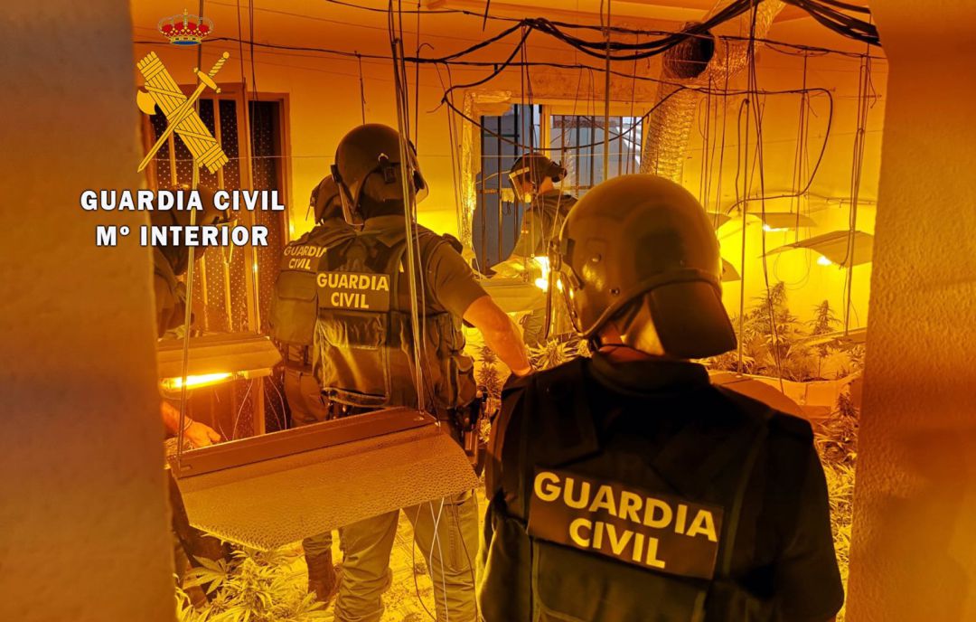 Macrooperación antigroga de la Guardia Civil en Atarfe (Granada) Macrooperación antigroga de la Guardia Civil en Atarfe (Granada)
