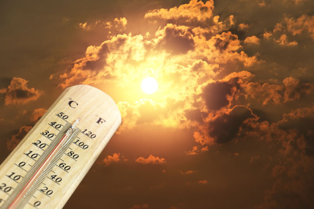 La temperatura media de septiembre fue de 16,9 grados La temperatura media de septiembre fue de 16,9 grados