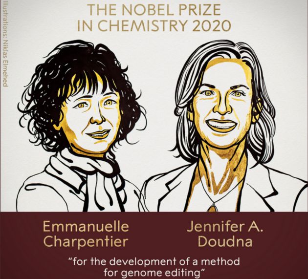 Galardonadas con el Nobel de Química. Galardonadas con el Nobel de Química.
