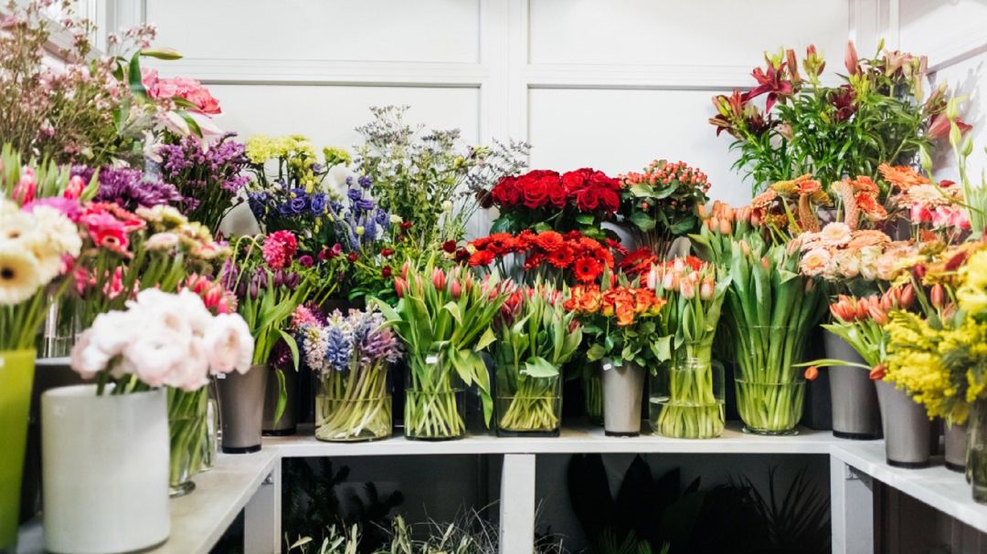 Las licencias temporales de flores para las ofrendas a difuntos son por tres días Las licencias temporales de flores para las ofrendas a difuntos son por tres días
