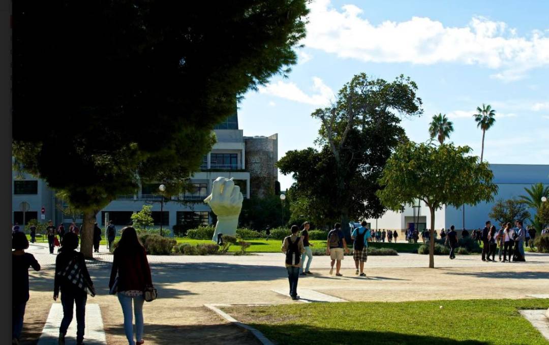 Campus de la Universidad de Alicante (archivo) Campus de la Universidad de Alicante (archivo)