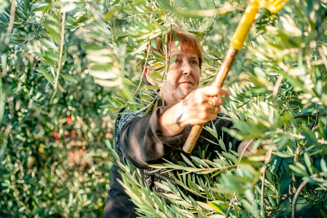 Desde UPA se insiste en la importancia de la titularidad compartida en el mundo agrícola para que 9.000 mujeres andaluzas puedan entrar a formar parte, de pleno derecho, en las explotaciones Desde UPA se insiste en la importancia de la titularidad compartida en el mundo agrícola para que 9.000 mujeres andaluzas puedan entrar a formar parte, de pleno derecho, en las explotaciones