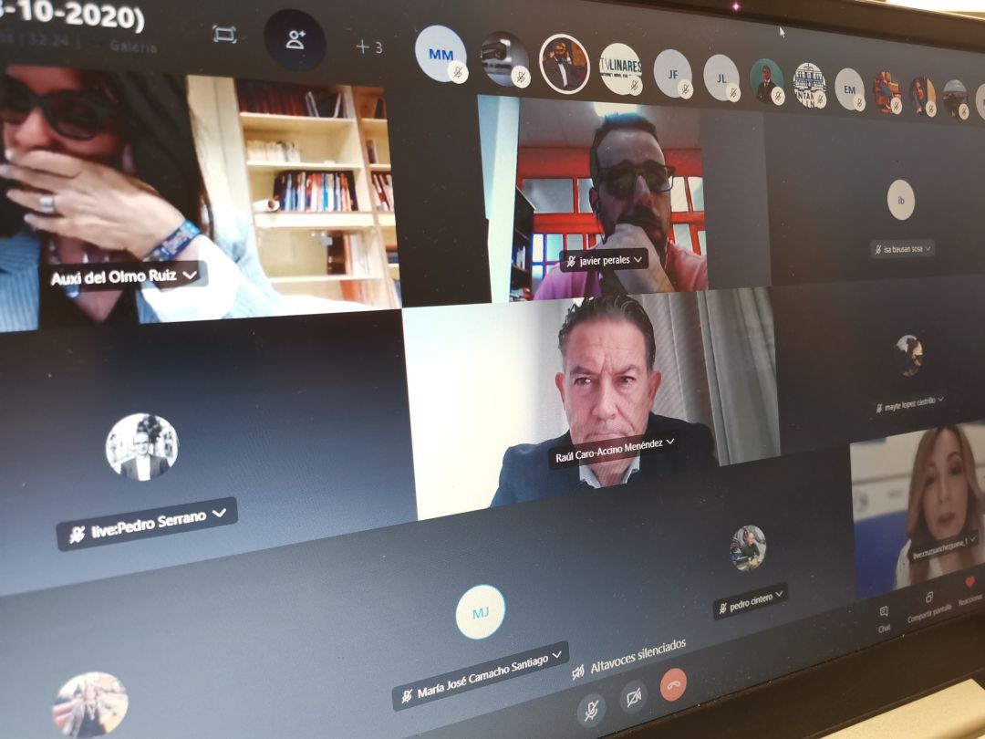 Pleno telemático del 8 de octubre de 2020. Pleno telemático del 8 de octubre de 2020.