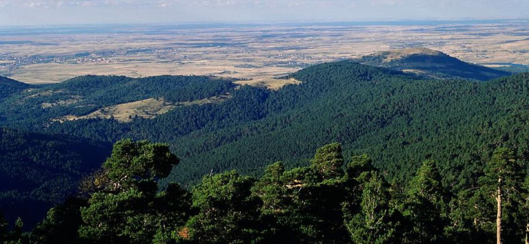 Vista desde lo alto de la montaña Vista desde lo alto de la montaña