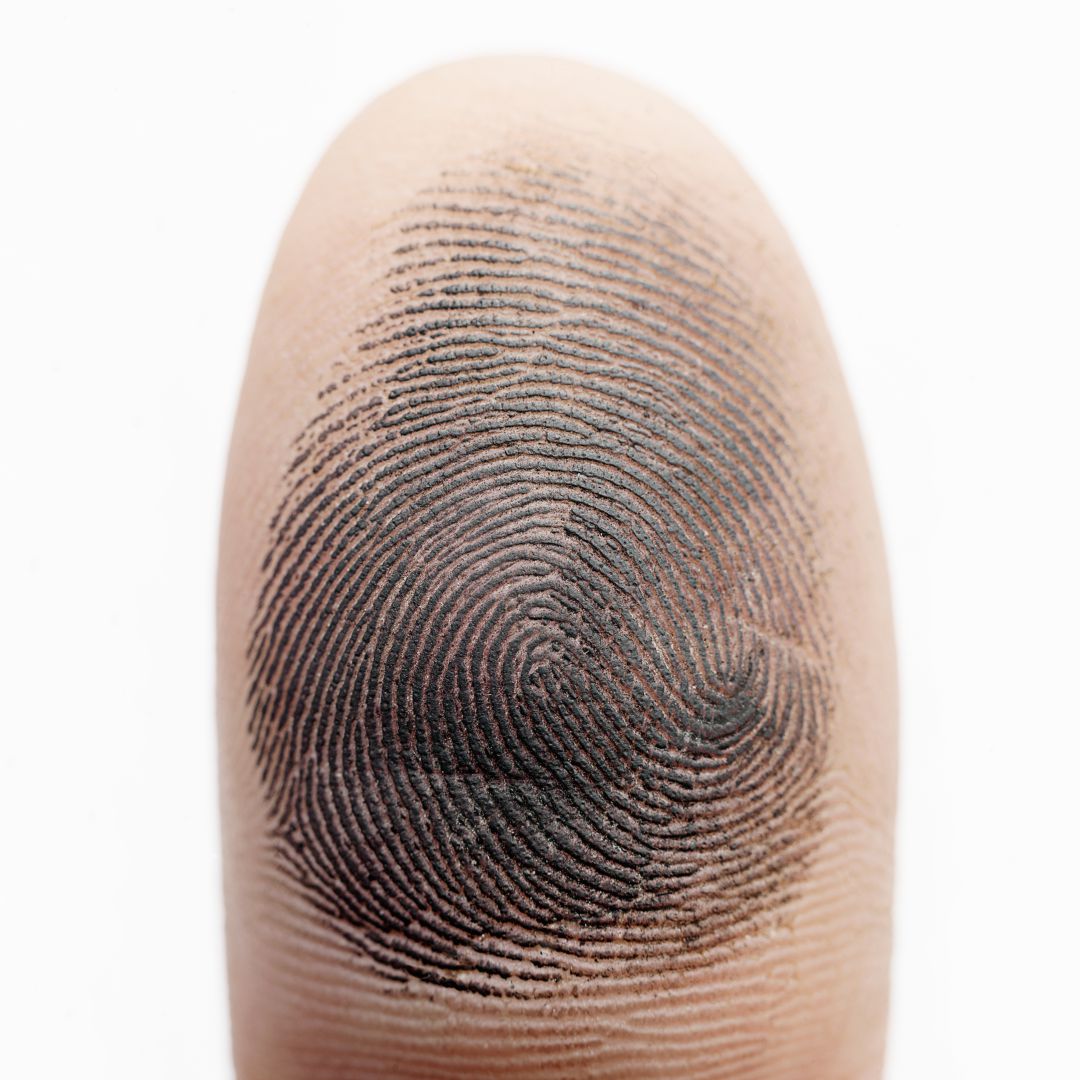 Dedo manchado de tinta Dedo manchado de tinta