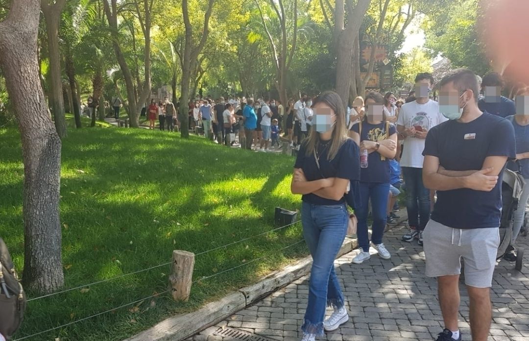 Decenas de personas se agolpan en el Bioparc de València sin respeyar las distancias de seguridad para evitar contagios de coronavirus Decenas de personas se agolpan en el Bioparc de València sin respeyar las distancias de seguridad para evitar contagios de coronavirus