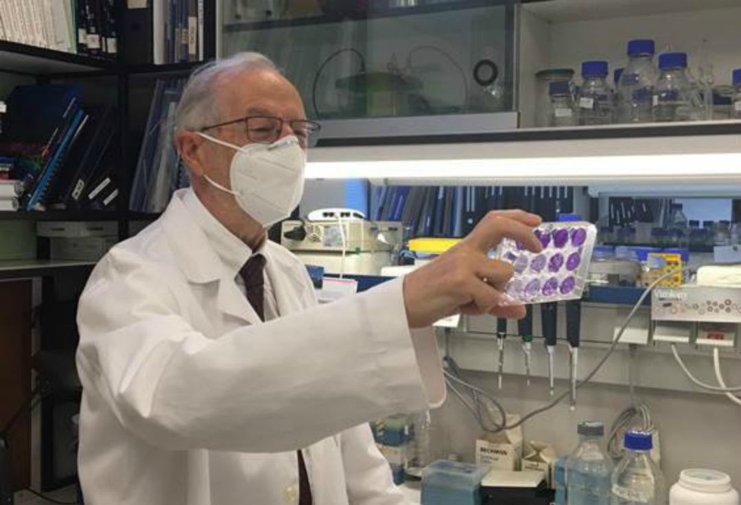 Luis Enjuanes, investigador del CSIC. Luis Enjuanes, investigador del CSIC.