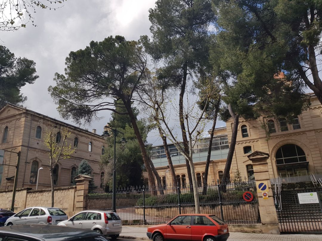 La directora asistencial de DomusVi asegura que en el centro de Alcoy "se trabajó al 200%" durante el brote de coronavirus. La directora asistencial de DomusVi asegura que en el centro de Alcoy "se trabajó al 200%" durante el brote de coronavirus.