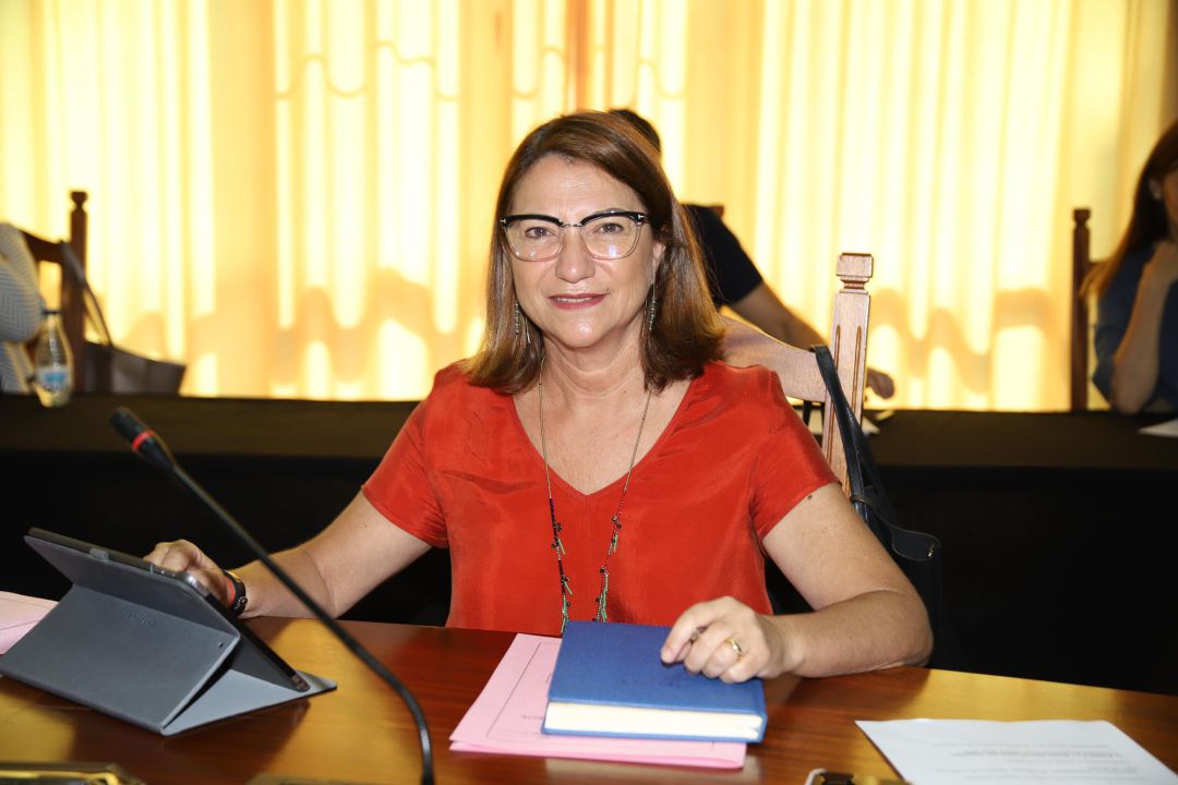 Isabel Martín, consejera de Bienestar Social del Cabildo de Lanzarote. Isabel Martín, consejera de Bienestar Social del Cabildo de Lanzarote.