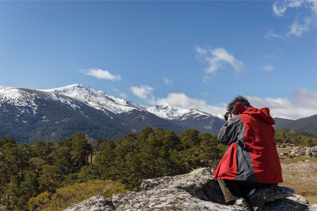 Una iniciativa social solicita la compra de este lugar de gran calidad paisajística y de salud ecológica para garantizar una buena gestión forestal Una iniciativa social solicita la compra de este lugar de gran calidad paisajística y de salud ecológica para garantizar una buena gestión forestal
