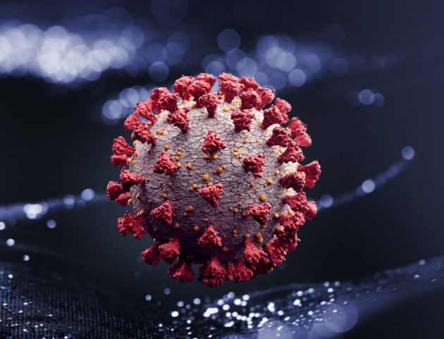 Imagen del coronavirus. Imagen del coronavirus.