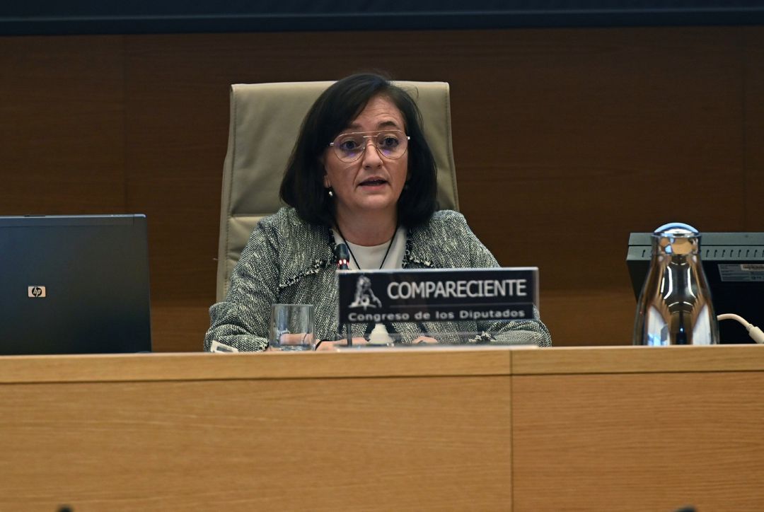 La presidenta de la Autoridad Independiente de Responsabilidad Fiscal (AIReF), Cristina Herrero. La presidenta de la Autoridad Independiente de Responsabilidad Fiscal (AIReF), Cristina Herrero.