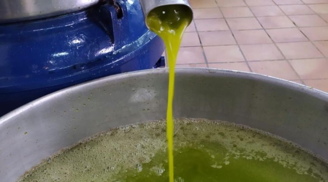Aceite de oliva virgen extra en una almazara. Aceite de oliva virgen extra en una almazara.