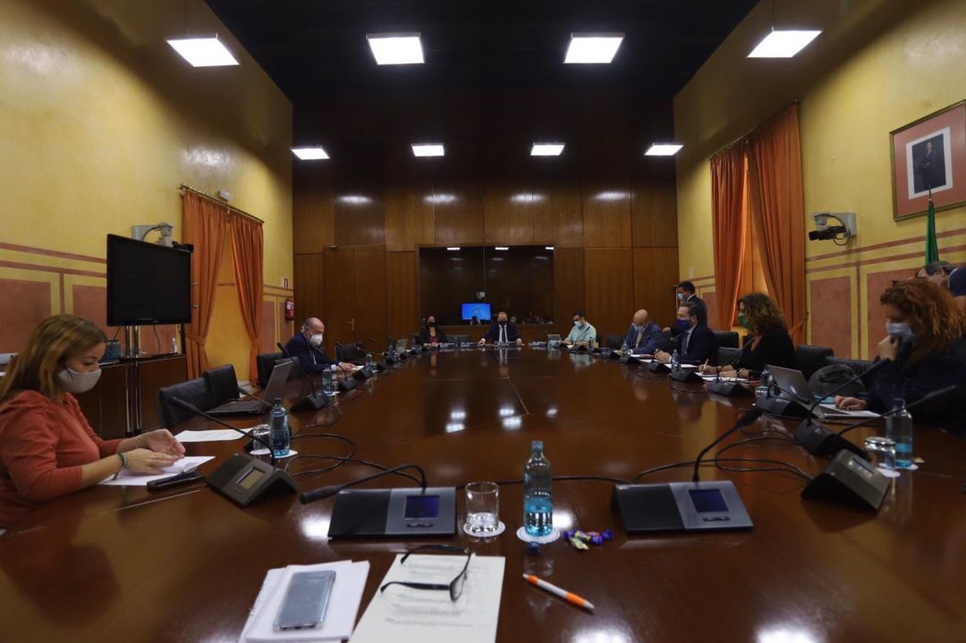 Comparecencia del presidente de la Diputación de Sevilla, Fernando Rodríguez Villalobos ante el Grupo de Trabajo que debe elaborar la Estrategia Andaluza frente al Reto Demográfico Comparecencia del presidente de la Diputación de Sevilla, Fernando Rodríguez Villalobos ante el Grupo de Trabajo que debe elaborar la Estrategia Andaluza frente al Reto Demográfico