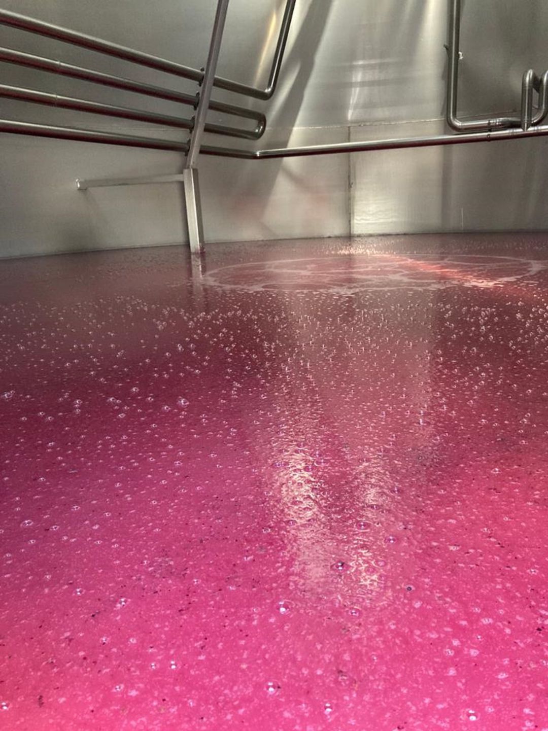 Fermentación del vino en depósito Fermentación del vino en depósito