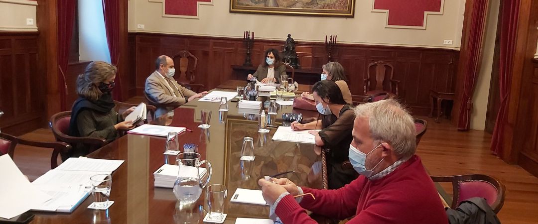 Comisión de educación e cultura Comisión de educación e cultura